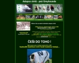 Firma - GACR - Greyhound Adoption Czech Republic - Adopce chrtù