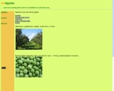 Firma - Aaapples 